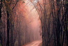 [高尔夫]广巡声扬杯仝扬七杆大胜 与许凌组队加冕配对赛冠军.