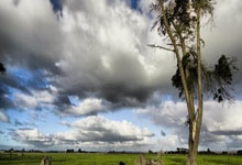 鲸鱼体育NBA：54+43+100！中国女篮30岁王牌满血复活：梦回巅峰联手韩旭冲三连冠.