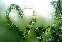 鲸鱼体育NBA：[CBA]常规赛12月28日：辽宁VS疆.