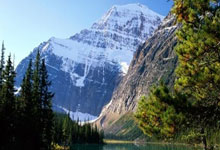 世青赛国羽夺得三项冠军.